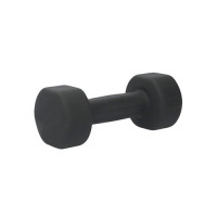 Гантель для аэробики неопреновая PRCTZ NEOPRENE DUMBBELL, 5 кг PS7135