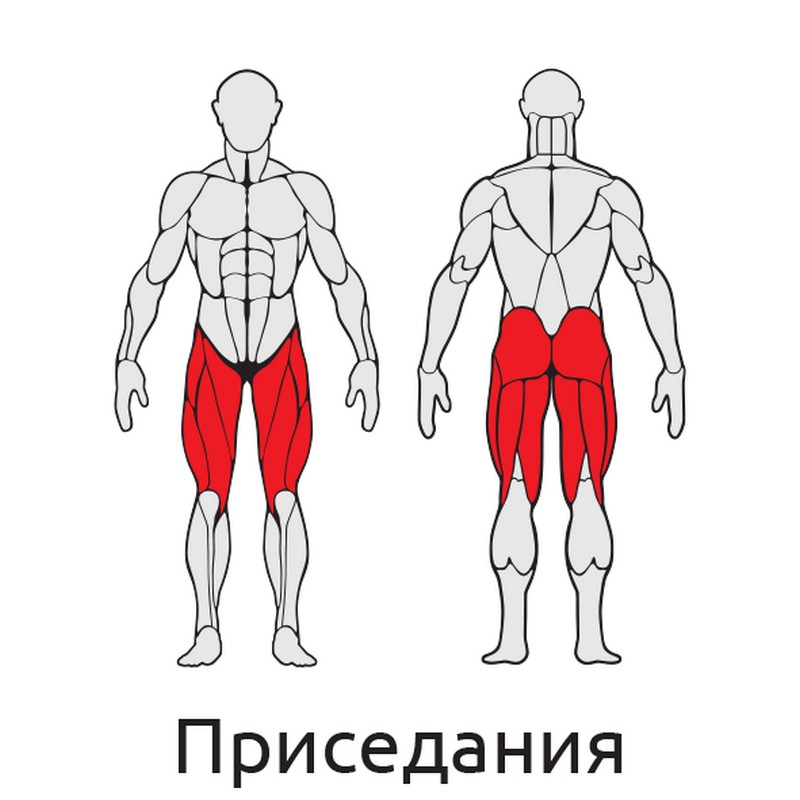 Приседания/шраги Iron King S411 800_800